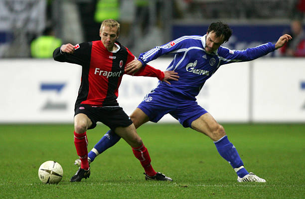 雷迪克引用 雷迪克引用